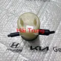 Bình dầu chợ lực Kia Morning