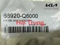 Bản lề capo Kia Seltos 2021-2024 chính hãng 66920Q6000 66910Q6000(3)
