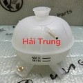 Bình nước phụ Hyundai Tucson 2016 2017 2018 2019 2020.