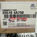 Van hằng nhiệt Hyundai Solati chính hãng 255104A750(4)