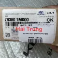 Hạn chế cánh cửa Kia Foter, Cerato 2008-2013 chính hãng 793801M000.