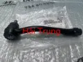 568204H100