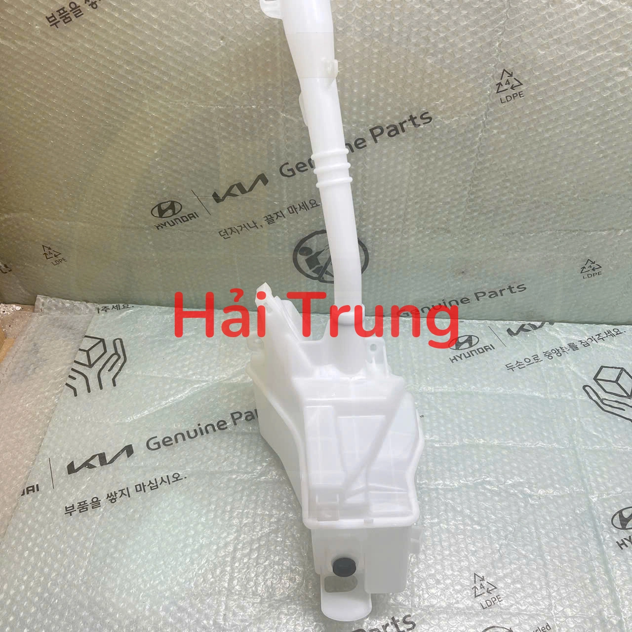 z6785190453162_6a226e72671c45127ff03426d79ab031