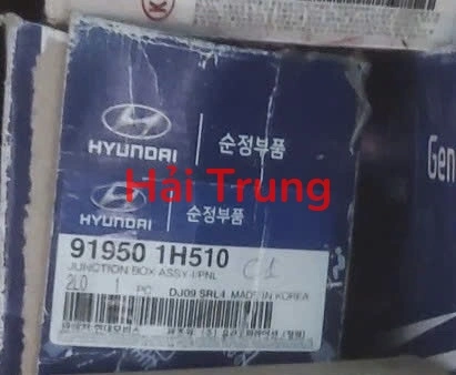Hộp cầu trì trong xe Hyundai I30 919501H510