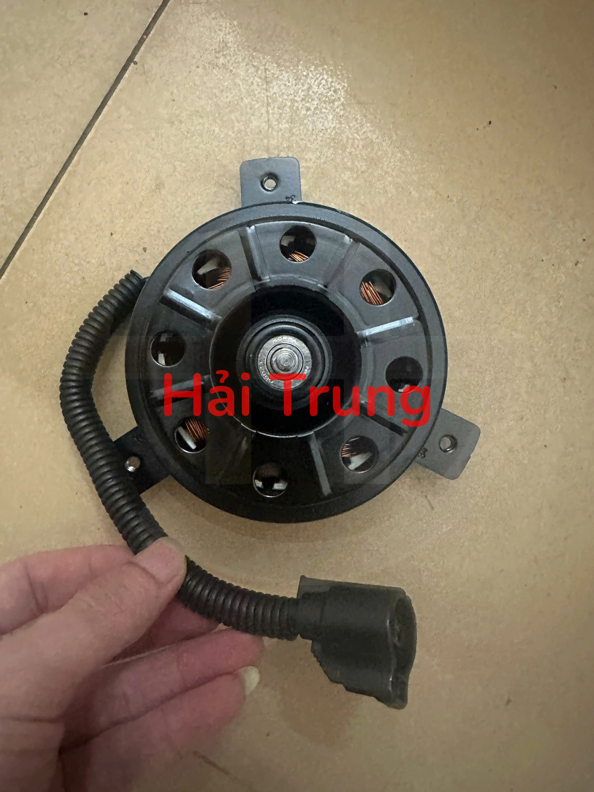 z6694738323929_5dcd0435f9a5525d8f79eceae2c23ddb