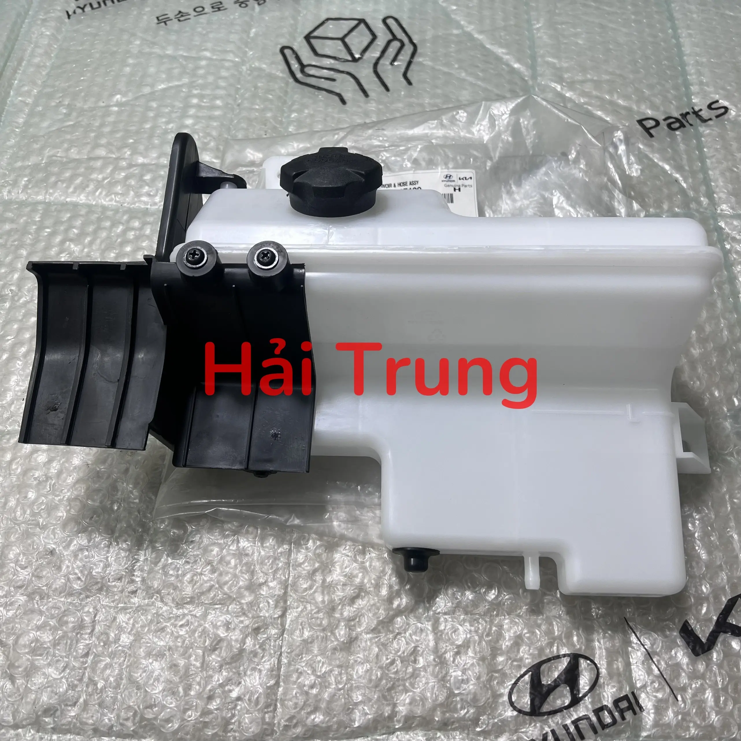 254294F100