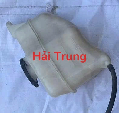 Bình nước phụ Kia Sedona 2019 2020 Tháo Xe