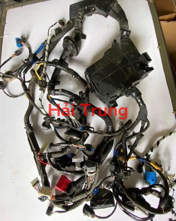 Bộ dây điện động cơ Hyundai Santafe 2020-2022 Tháo Xe