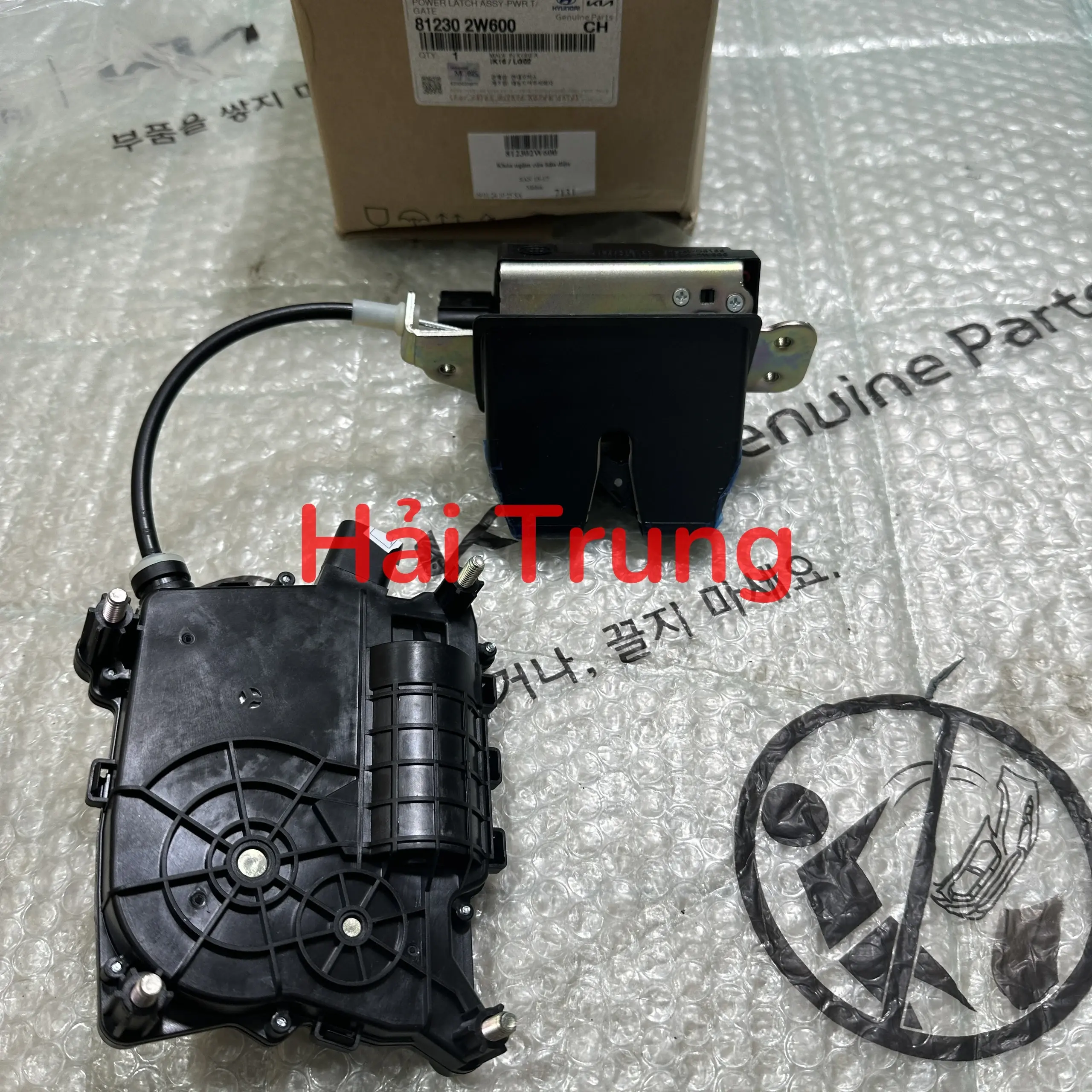 812302W600