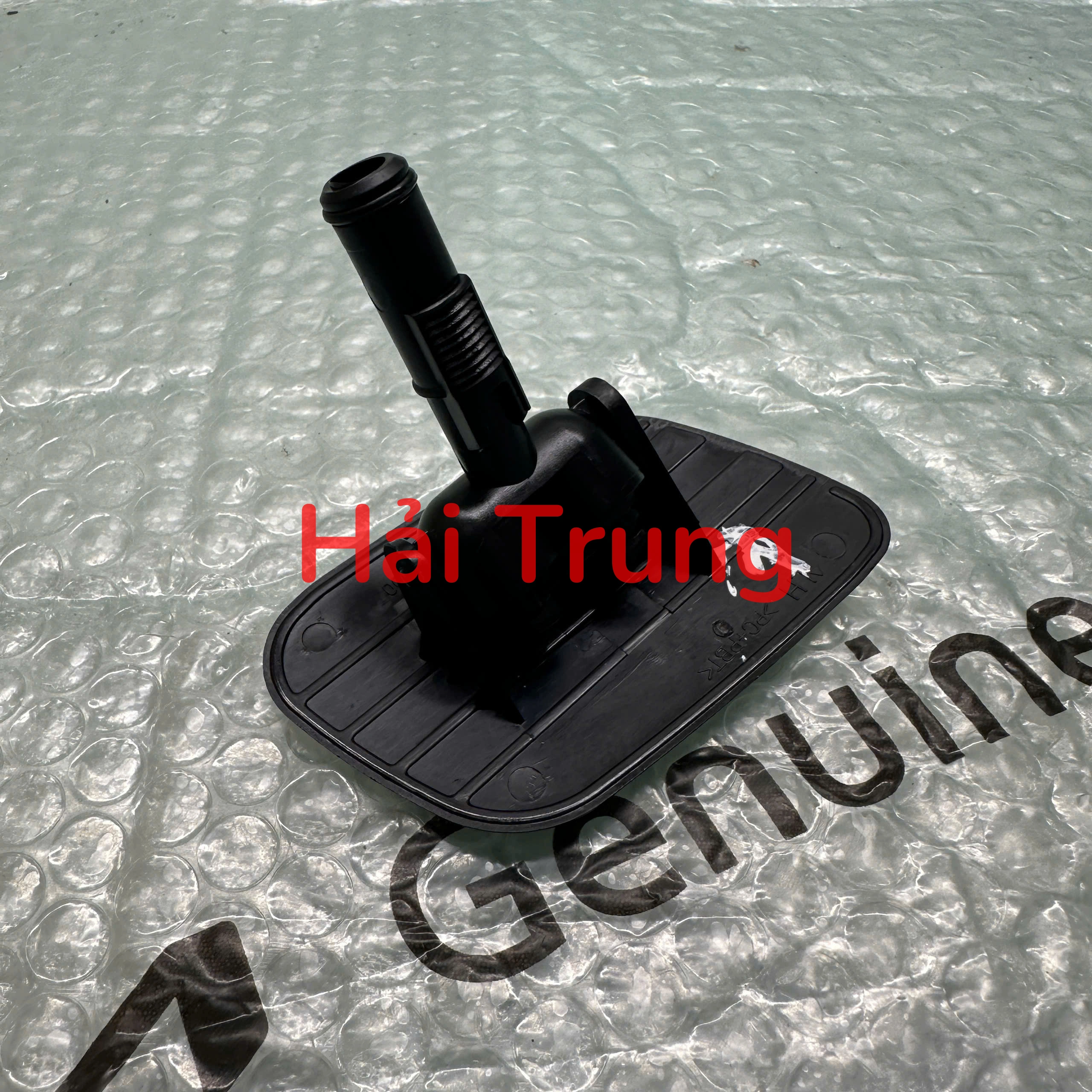 z7015783083782_0511afb0e89b4bc9a5815039fa3d6d77