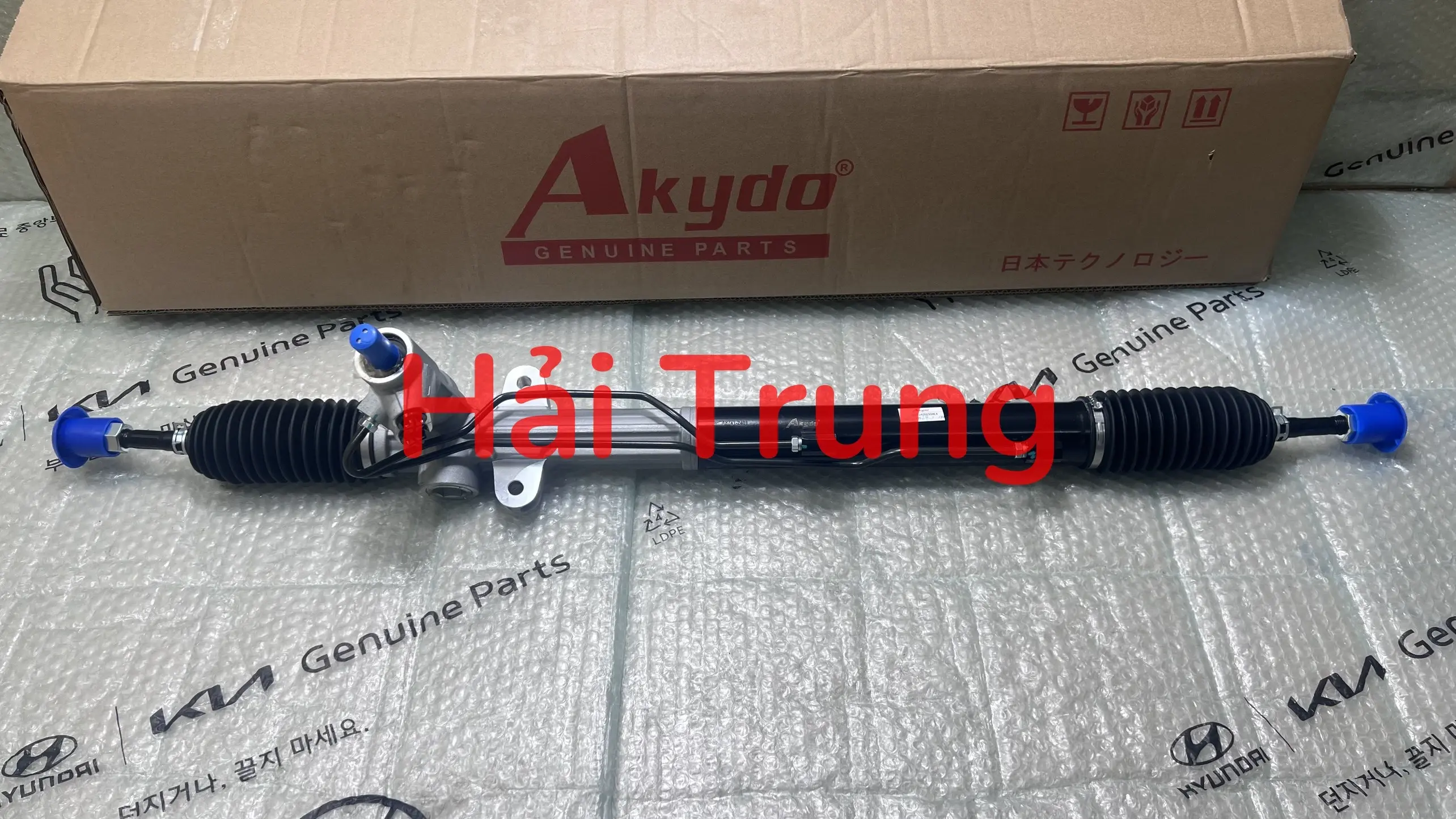 57700-2P100-AK