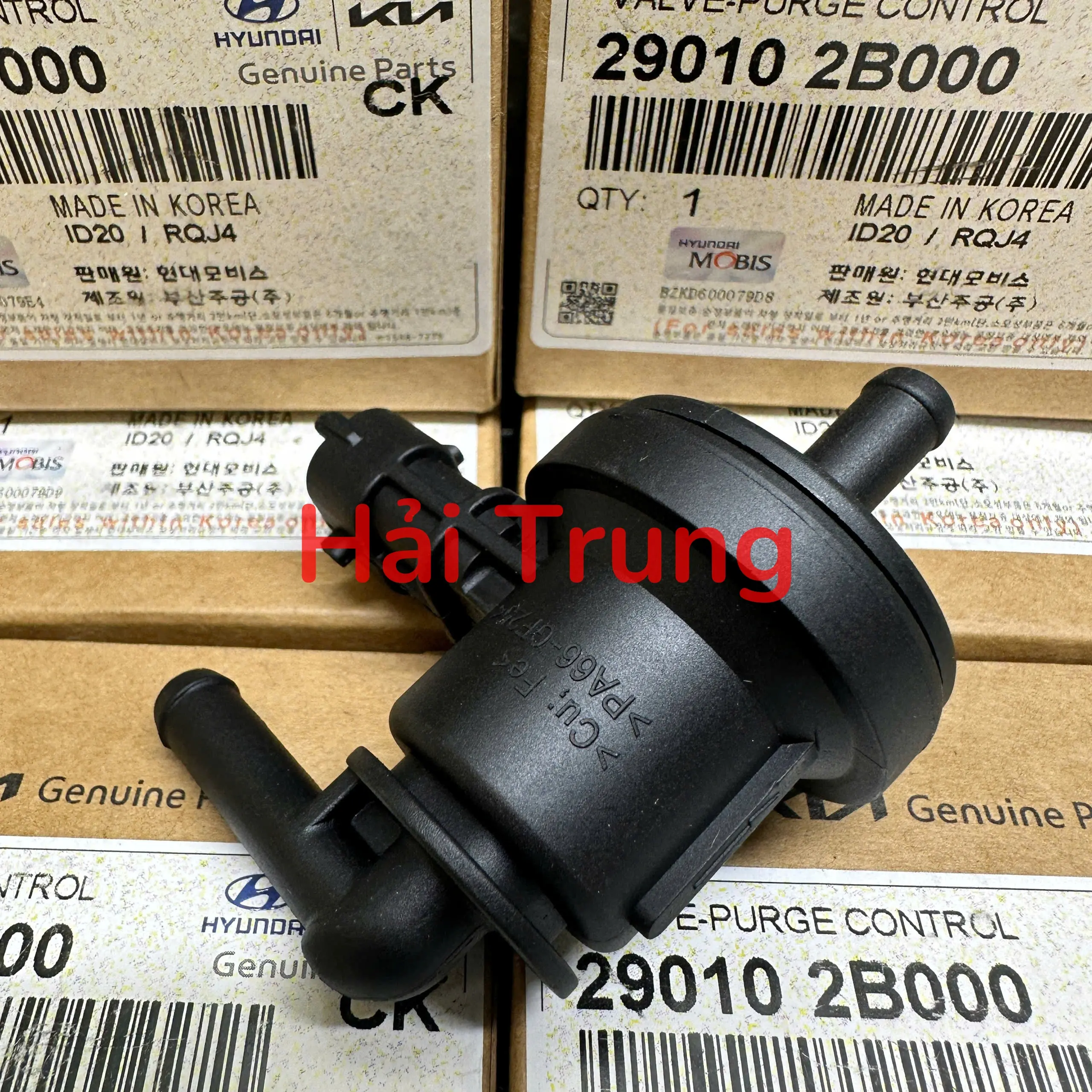 Van hơi xăng, van thu hồi xăng Kia Cerato, Forte cao cấp 290102B000.  