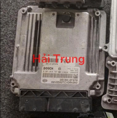 z6668620369821_605c6072d30ed818002ea60a951a502d