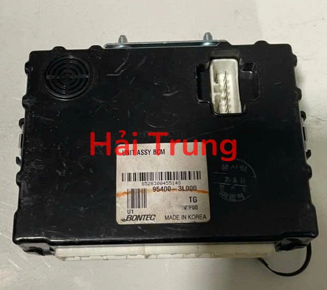 954003L000 Hộp điều khiển thân xe BCM Hyundai Azera Tháo Xe
