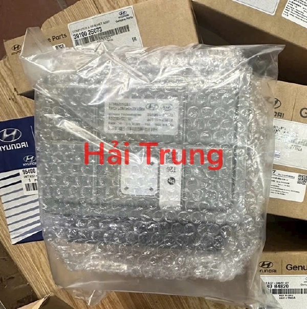 391002S073 Hộp điều khiển điện tử Hyundai Santafe 2022-2025