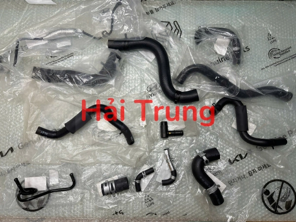 BỘ ỐNG NƯỚC HYUNDAI SANTAFE