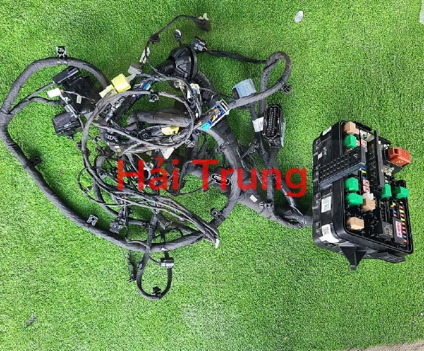 Bộ dây điện Hyundai Solati Tháo xe