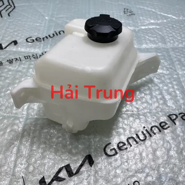 Bình nước phụ Kia Carens chính hãng
