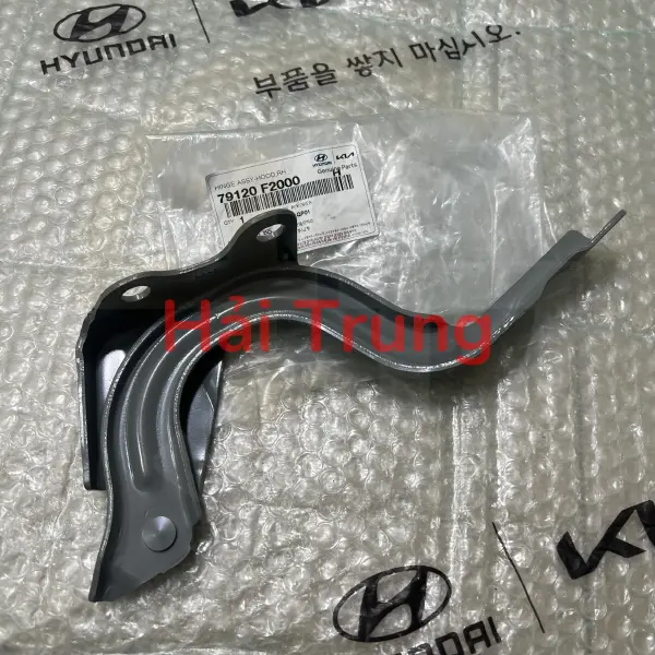 Bản lề capo Hyundai Elantra