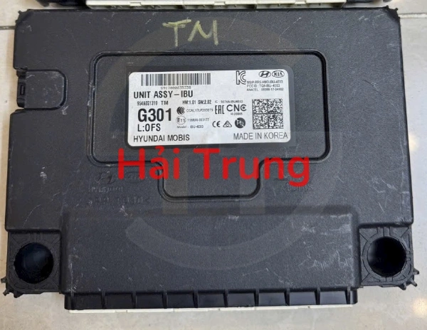 Hộp điều khiển điện tử IBU Hyundai Santafe 2019 2020 Tháo Xe 954A0S1310