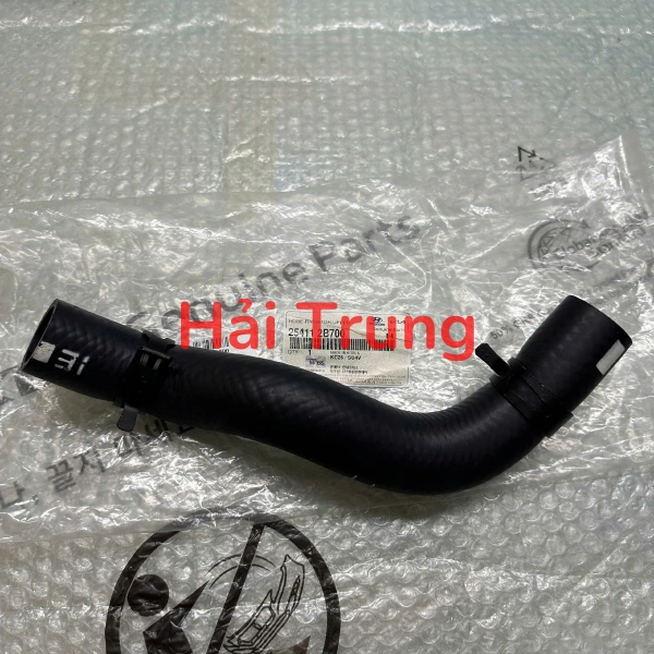 Ống dẫn dầu làm mát van ERG Hyundai Santafe 2009-2012 256302F000
