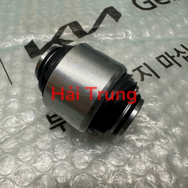 Cao su ngõng moay ơ sau Kia Carens Rondo 551304D000