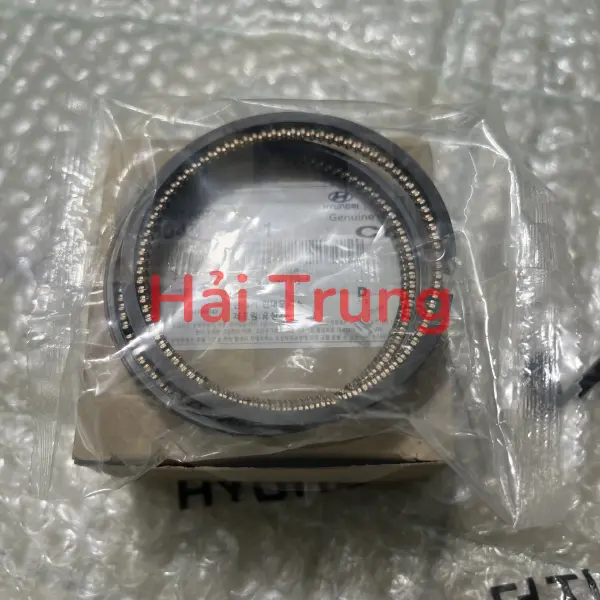Bạc xéc măng Hyundai Elantra chính hãng
