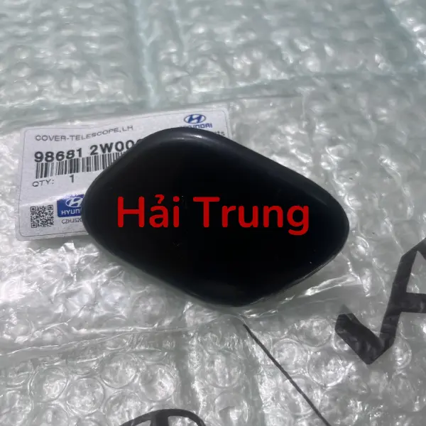 Nắp đậy vòi phun nước rửa đèn pha Hyundai Santafe