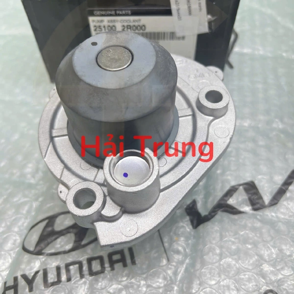 Bơm nước Sorento , Santafe, Carnival 2021-2025 251002R000