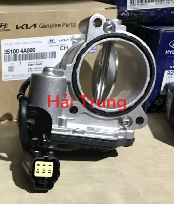 Bướm ga Hyundai Solati chính hãng 351004A800